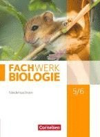 Udo Hampl, Marianne Herrmann, Katrin Oberschelp, Anke Pohlmann, Peter Pondorf, Reinhold Rehbach, Matthias Ritter, Ingmar Stelzig, Josef Johannes Zitzmann - Fachwerk Biologie 5./6. Schuljahr. Schülerbuch Niedersachsen, Inbunden