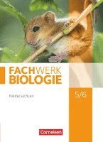 Udo Hampl, Marianne Herrmann, Katrin Oberschelp, Anke Pohlmann, Peter Pondorf, Reinhold Rehbach, Matthias Ritter, Ingmar Stelzig, Josef Johannes Zitzmann - Fachwerk Biologie 5./6. Schuljahr. Schülerbuch Niedersachsen, Inbunden