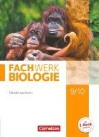 bokomslag Fachwerk Biologie 9./10. Schuljahr. Schülerbuch Niedersachsen