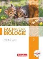 bokomslag Fachwerk Biologie 5. Jahrgangsstufe - Realschule Bayern - Schülerbuch
