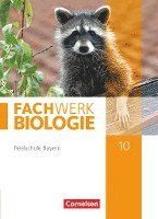 Udo Hampl, Reinhold Rehbach, Peter Pondorf, Andreas Miehling, Matthias Niedermeier, Anke Pohlmann, Judith Fischer - Fachwerk Biologie 10. Jahrgangsstufe - Realschule Bayern - Schülerbuch, Inbunden