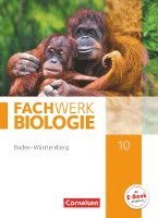 Udo Hampl, Andreas Marquarth, Anke Pohlmann - Fachwerk Biologie 10. Schuljahr - Baden-Württemberg - Schülerbuch, Inbunden
