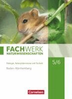 Thomas Baur, Ulrike Dörflinger, Herbert Fallscheer, Elke Freiling-Fischer, Udo Hampl, Stefanie Harbauer, Andreas G. Harm, Marianne Herrmann, Kathrin Janik, Isabelle Kunst, Manfred Lang, Andreas Marquarth, Andreas Miehling, Bettina Missale, Katrin Oberschelp, Anke Pohlmann, Peter Pondorf, Alexandra Ranieri, Melanie Rau, Reinhold Rehbach, Matthias Ritter, Juliane Schink, Alexandra Schulte, Michaela Steinhilber, Ingmar Stelzig, Ulrike Tegtmeyer, Steffen Wachs, Markus Wacker, Wilfried Wagner, Johanna Wetzel, Josef Johannes Zitzmann - Fachwerk Naturwissenschaften 5./6. Schuljahr. Schülerbuch Baden-Württemberg, Inbunden
