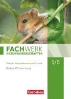 bokomslag Fachwerk Naturwissenschaften 5./6. Schuljahr. Schülerbuch Baden-Württemberg