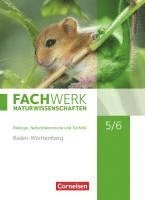 Thomas Baur, Ulrike Dörflinger, Herbert Fallscheer, Elke Freiling-Fischer, Udo Hampl, Stefanie Harbauer, Andreas G. Harm, Marianne Herrmann, Kathrin Janik, Isabelle Kunst, Manfred Lang, Andreas Marquarth, Andreas Miehling, Bettina Missale, Katrin Oberschelp, Anke Pohlmann, Peter Pondorf, Alexandra Ranieri, Melanie Rau, Reinhold Rehbach, Matthias Ritter, Juliane Schink, Alexandra Schulte, Michaela Steinhilber, Ingmar Stelzig, Ulrike Tegtmeyer, Steffen Wachs, Markus Wacker, Wilfried Wagner, Johanna Wetzel, Josef Johannes Zitzmann - Fachwerk Naturwissenschaften 5./6. Schuljahr. Schülerbuch Baden-Württemberg, Inbunden