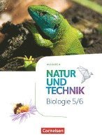 bokomslag Natur und Technik - Biologie 5./6. Schuljahr - Hessen - Schülerbuch