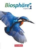 Stefan Auerbach, Werner Bils, Anne-Kathrin Dierschke, Anke Meisert - Biosphäre Sekundarstufe I - Ausgabe A Band 1 - Schülerbuch, Inbunden