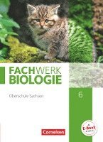 Udo Hampl, Anke Pohlmann, Peter Pondorf, Ingmar Stelzig, Lysann Tessendorf - Fachwerk Biologie 6. Schuljahr - Sachsen - Schülerbuch, Inbunden