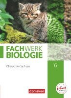 bokomslag Fachwerk Biologie 6. Schuljahr - Sachsen - Schülerbuch