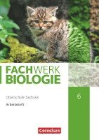 bokomslag Fachwerk Biologie 6. Schuljahr - Sachsen - Arbeitsheft