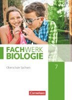 bokomslag Fachwerk Biologie 7. Schuljahr - Sachsen - Schülerbuch