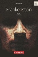 bokomslag Frankenstein Ab 11. Schuljahr