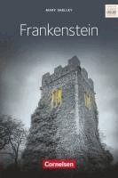 Lars Schüler - Frankenstein, Häftad