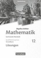 bokomslag Bigalke/Köhler: Mathematik - 12. Schuljahr - Grundkurs - Brandenburg - Lösungen zum Schülerbuch