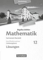 bokomslag Bigalke/Köhler: Mathematik 12. Schuljahr - Brandenburg - Leistungskurs. Lösungen zum Schülerbuch