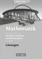 bokomslag Mathematik Qualifikationsphase Grundkurs. Lösungen zum Schülerbuch. Sekundarstufe II Nordrhein-Westfalen