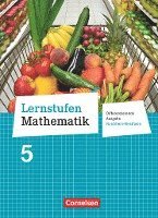 bokomslag Lernstufen Mathematik 5. Schuljahr. Schülerbuch Hauptschule Nordrhein-Westfalen