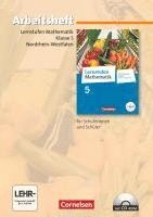 bokomslag Lernstufen Mathematik 5. Schuljahr. Arbeitsheft mit eingelegten Lösungen und CD-ROM. Hauptschule Nordrhein-Westfalen