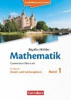 bokomslag Bigalke/Köhler: Mathematik. Band 1. Analysis. Schülerbuch. Mecklenburg-Vorpommern