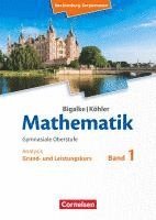 bokomslag Bigalke/Köhler: Mathematik. Band 1. Analysis. Schülerbuch. Mecklenburg-Vorpommern