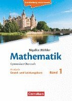 Bigalke/Köhler: Mathematik. Band 1. Analysis. Schülerbuch. Mecklenburg-Vorpommern