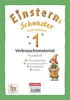 bokomslag Einsterns Schwester 1. Schuljahr - Erstlesen - Leicht gemacht