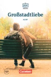 bokomslag Grossstadtliebe - Geschichten aus dem Alltag der Familie Schall