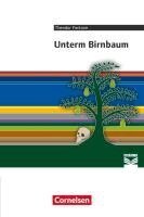 Theodor Fontane, Daniela A. Frickel, Florian Radvan, Anne Steiner - Unterm Birnbaum, Häftad