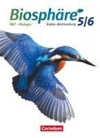 Stefan Auerbach, Werner Bils, Robert Felch, Gabriele Rupp, Matthias Stoll, Michael Szabados, Hans-Joachim Winkhardt, Stefan Auerbach, Werner Bils - Biosphäre Sekundarstufe I. 5./6. Schuljahr. BNT - Biologie. Schülerbuch Baden-Württemberg, Inbunden