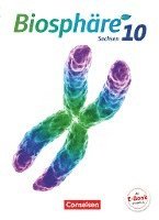 Axel Goldberg, Yvonne Hübner, Daniela Jatzwauk, Michael Riethmüller, Axel Goldberg - Biosphäre Sekundarstufe I 10. Schuljahr - Gymnasium Sachsen - Schülerbuch, Inbunden
