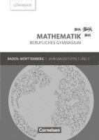 Frédérique Chauffer, Otto Feszler, Rüdiger Hölzel, Volker Klotz, Jost Knapp, Michael Knobloch, Gabriele Kosaca, Peter Meier, Elke Preckel, Heidrun Roschmann, Sebastian Schönthaler, Rolf Schöwe, Markus Strobel - Mathematik Berufliches Gymnasium Baden-Württemberg. Jahrgangsstufen 1/2 - Lösungen zum Schülerbuch, Häftad