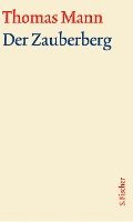 bokomslag Der Zauberberg. Große kommentierte Frankfurter Ausgabe. Textband
