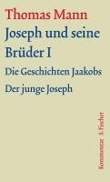 bokomslag Joseph und seine Brüder I