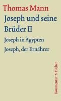 bokomslag Joseph und seine Brüder II