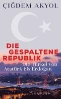 Die gespaltene Republik 1