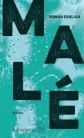 Roman Ehrlich - Malé, Inbunden