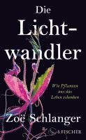 Zoë Schlanger - Die Lichtwandler, Inbunden