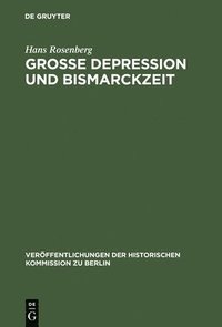 bokomslag Grosse Depression und Bismarckzeit