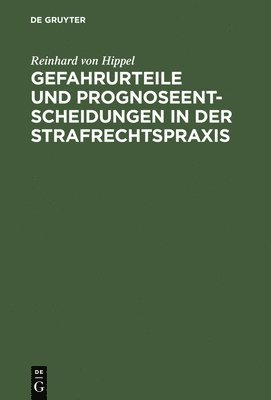Reinhard Von Hippel, Reinhard von Hippel - Gefahrurteile und Prognoseentscheidungen in der Strafrechtspraxis, Inbunden