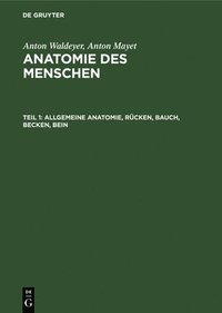bokomslag Allgemeine Anatomie, Rcken, Bauch, Becken, Bein