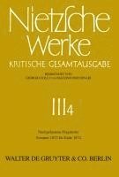 Friedrich Nietzsche, Giorgio Colli, Mazzino Montinari, Volker Gerhardt, Norbert Miller, Wolfgang Müller-Lauter, Karl Pestalozzi - Nachgelassene Fragmente Sommer 1872 - Ende 1874, Inbunden