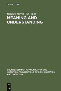 bokomslag Meaning and Understanding
