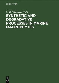 bokomslag Synthetic and Degradative Processes in Marine Macrophytes