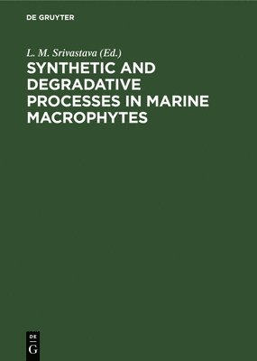 Synthetic and Degradative Processes in Marine Macrophytes 1