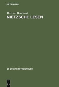 bokomslag Nietzsche lesen
