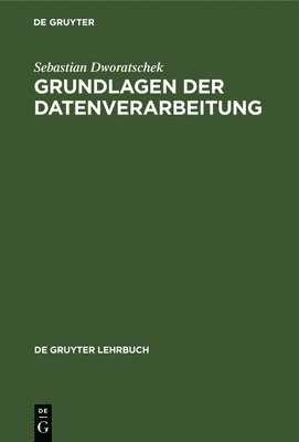 bokomslag Grundlagen der Datenverarbeitung