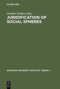 bokomslag Juridification of Social Spheres