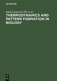 bokomslag Thermodynamics and Pattern Formation in Biology