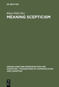 bokomslag Meaning Scepticism