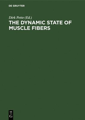 The Dynamic State of Muscle Fibers 1